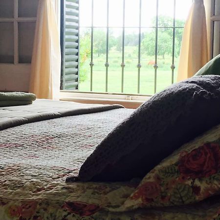The Polo House Bed & Breakfast Pilar  Dış mekan fotoğraf